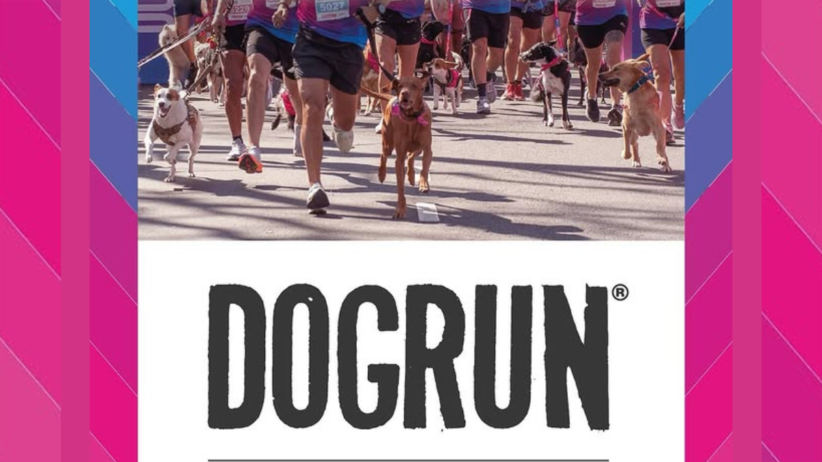 ¡Ya llega una nueva edición de DOGRUN 2025