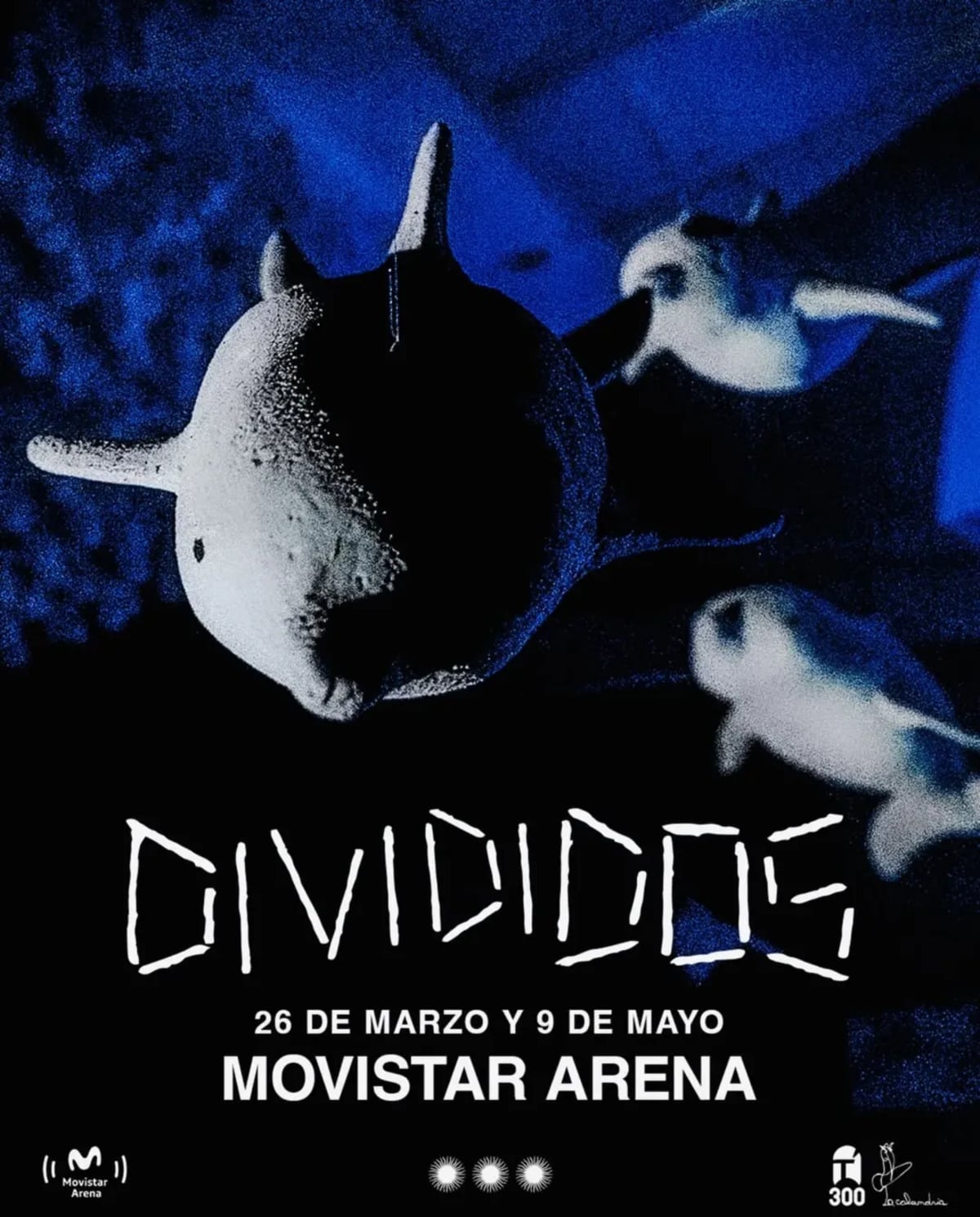 Divididos en Movistar Arena