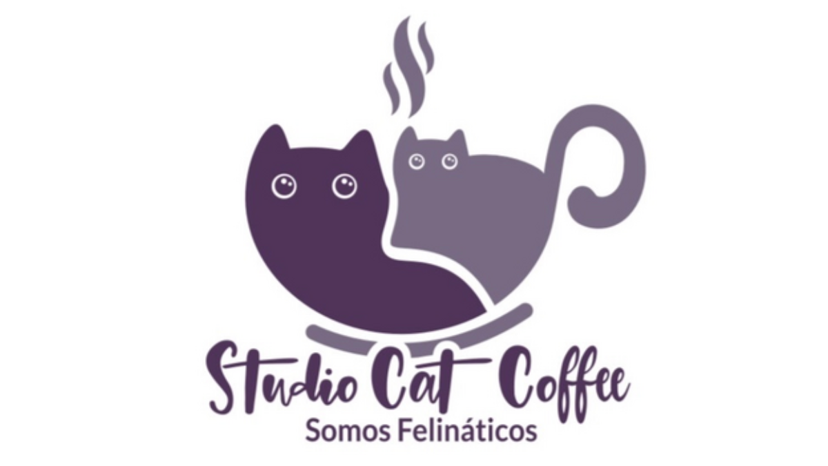 Studio Cat Coffee| Cafetería para amante de los gatos
